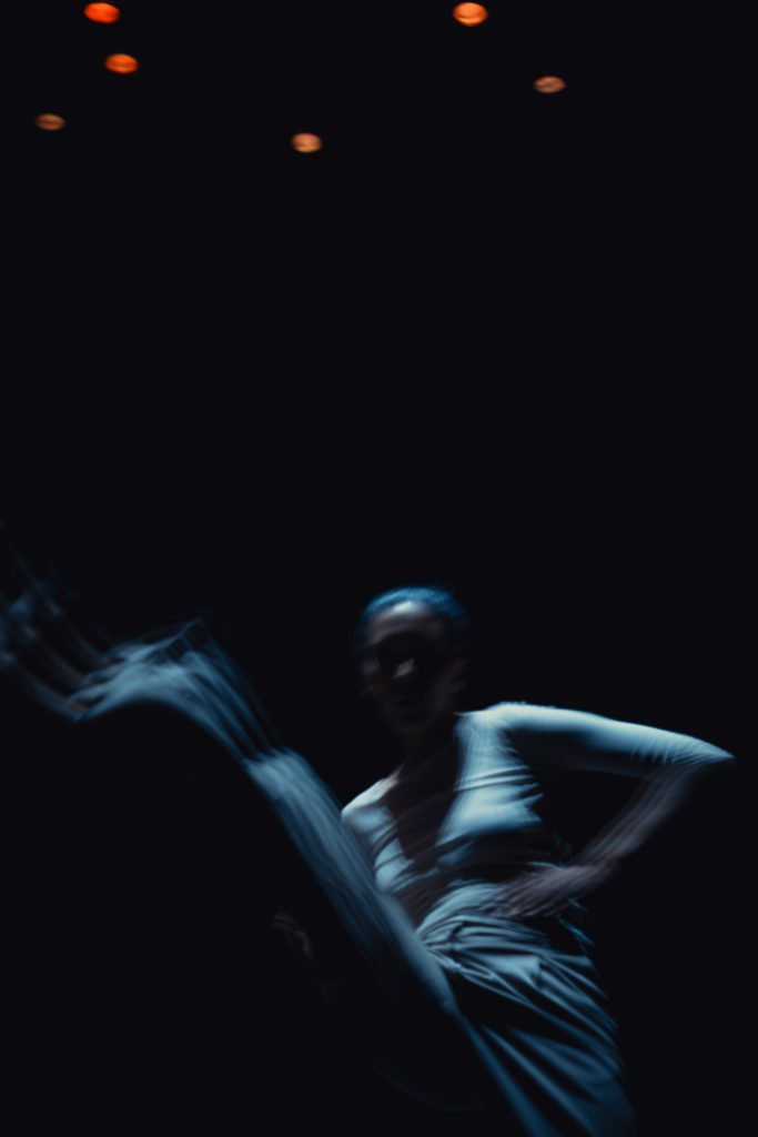 Fête de la Danse 2025 à Vevey