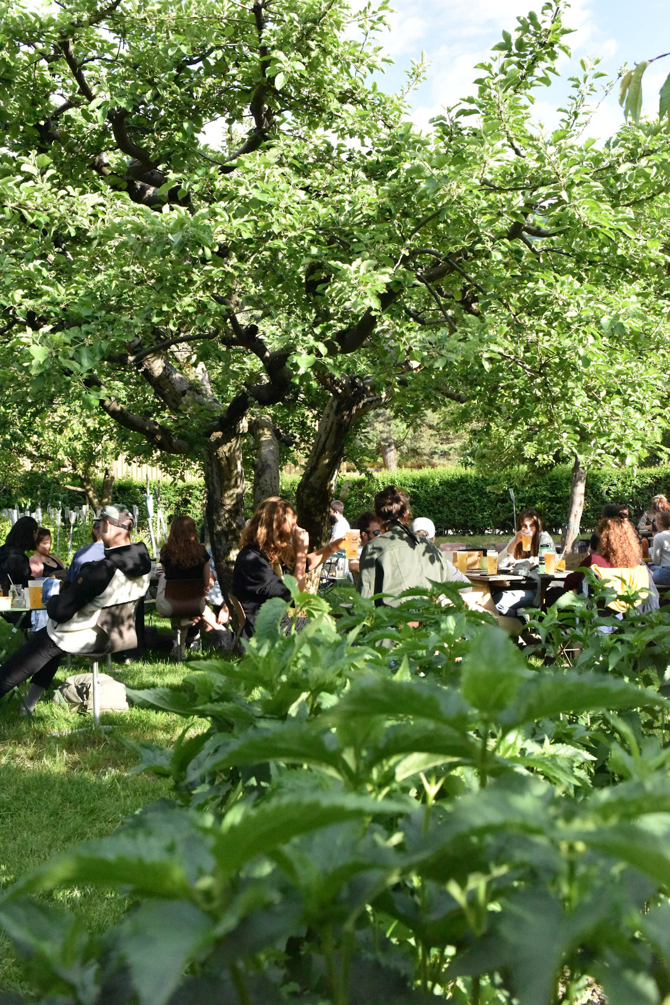 Jardins de la cabine - Sion