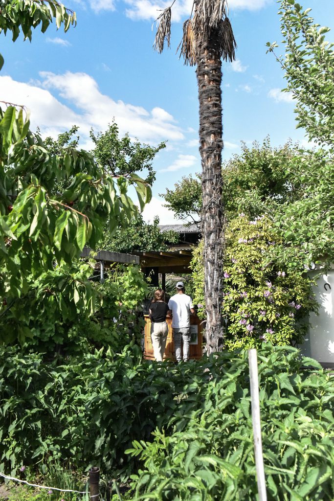 Jardins de la cabine - Sion